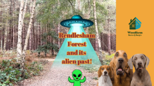 Rendlesham Forest and its alien past!