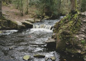 A river running through Suffolk,