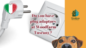 Do you have plug adaptors at Woodfarm Tuscany?