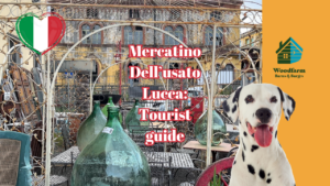 Mercatino Dell’usato Lucca: Tourist guide