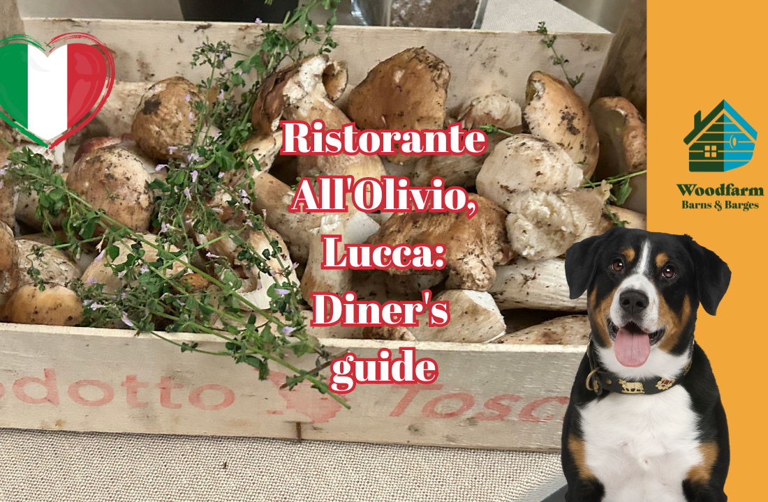 Ristorante All'Olivio, Lucca. Your iner's guide