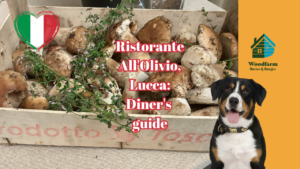 Ristorante All'Olivio, Lucca. Your iner's guide