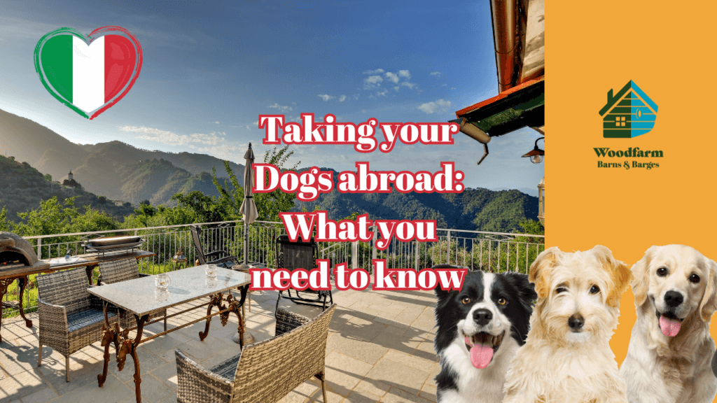 Taking your Dogs abroad: What you need to know