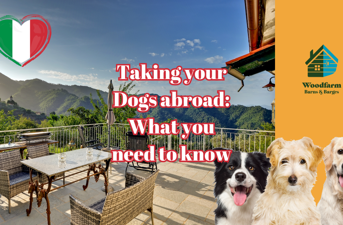 Taking your Dogs abroad: What you need to know