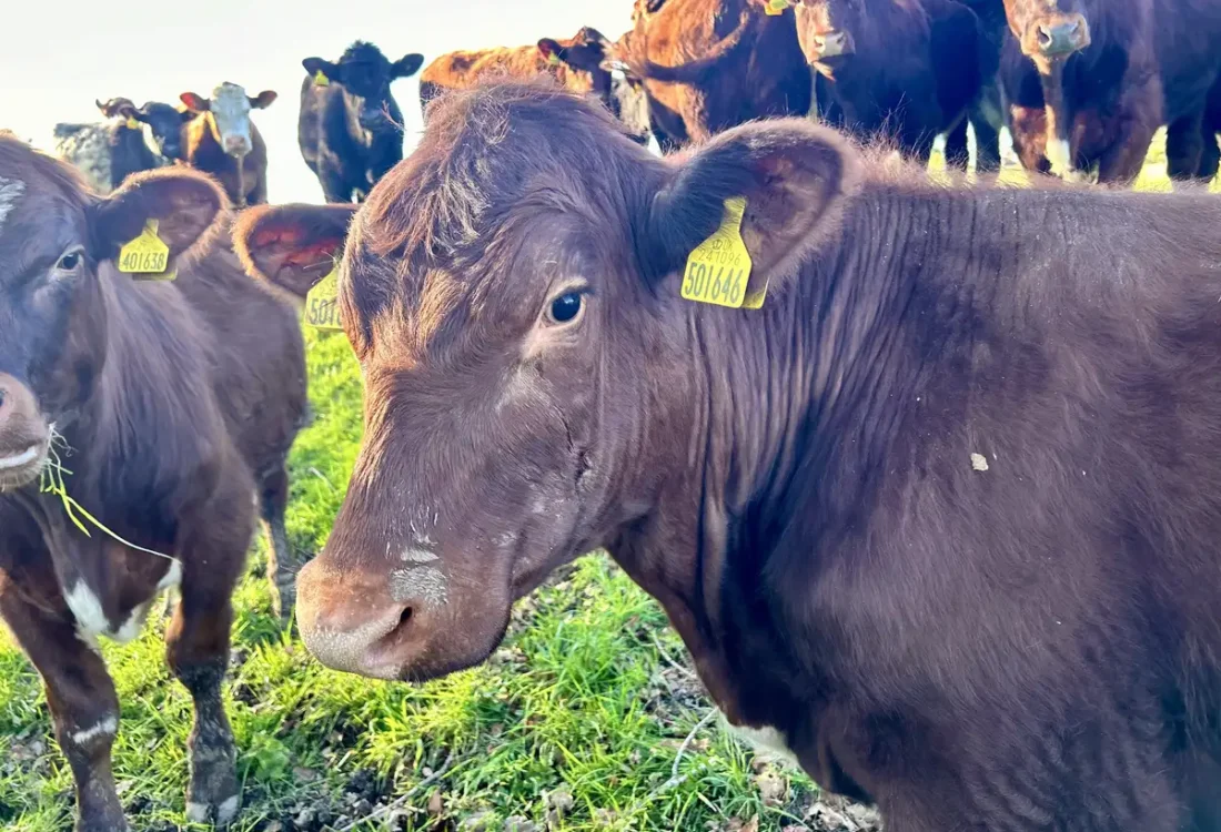 Farmstay experience at our nearby farms