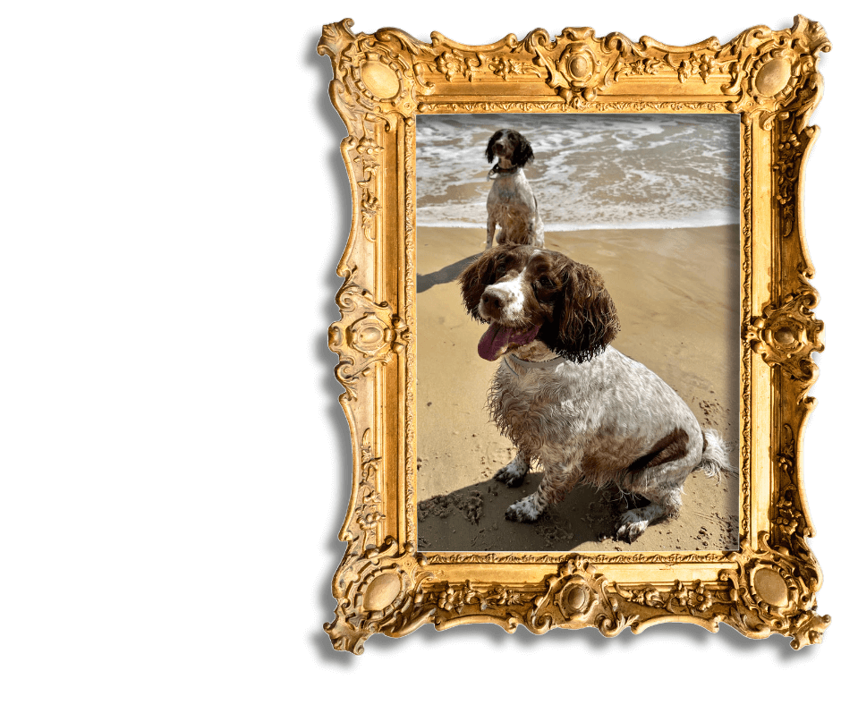 Dog-Friendly Holidays in Suffolk