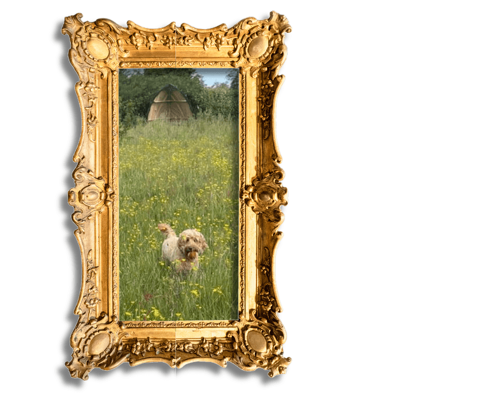 Dog-Friendly Holidays in Suffolk