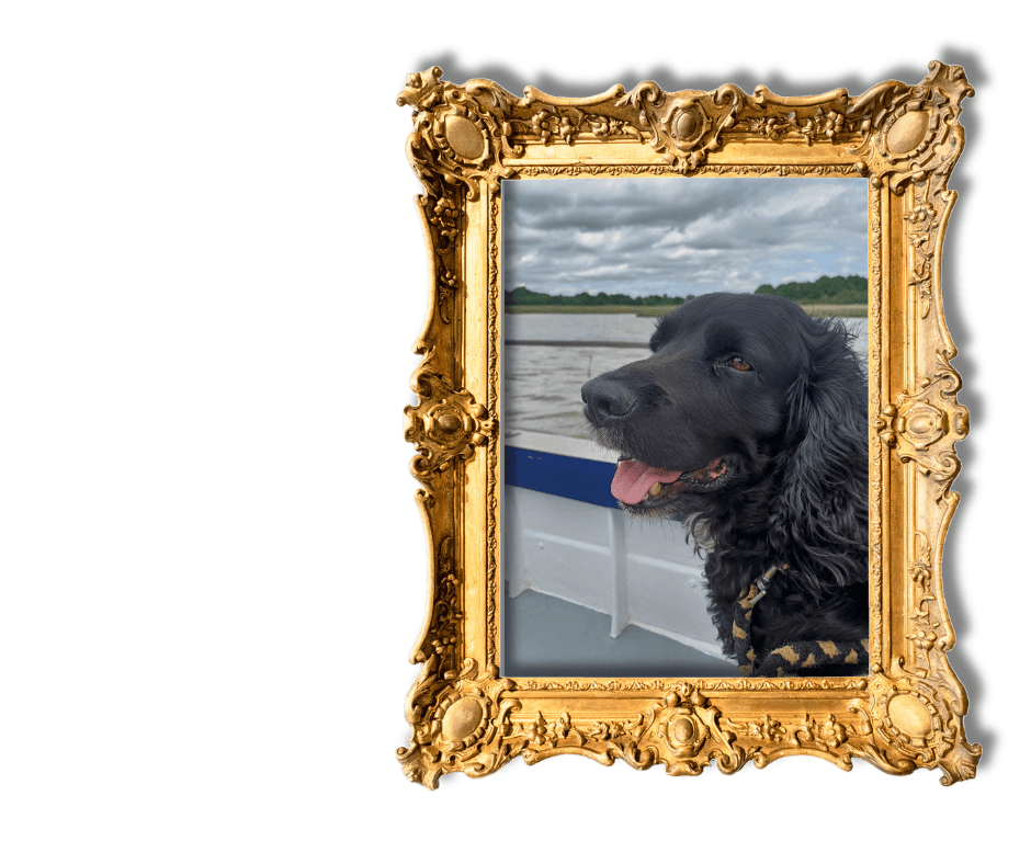 Dog-Friendly Holidays in Suffolk