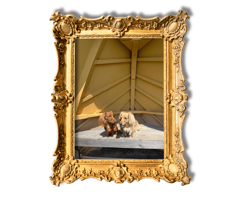 Dog-Friendly Holidays in Suffolk