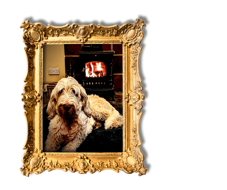 Dog-Friendly Holidays in Suffolk