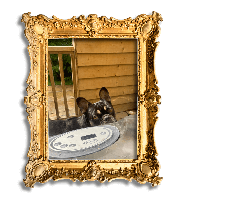 Dog-Friendly Holidays in Suffolk