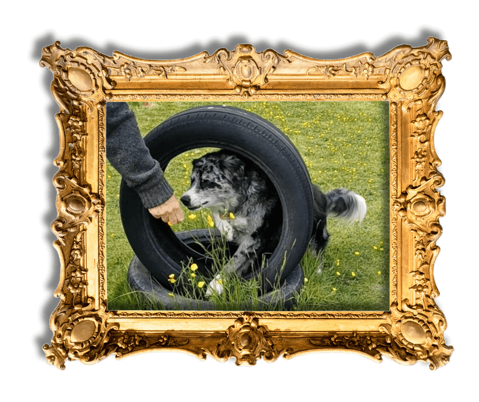 Dog-Friendly Holidays in Suffolk