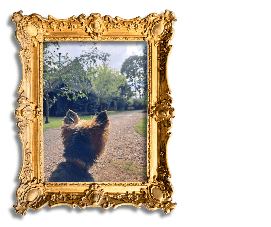 Dog-Friendly Holidays in Suffolk