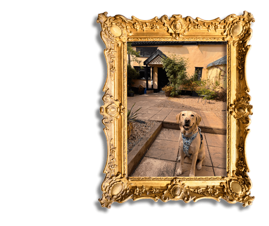 Dog-Friendly Holidays in Suffolk