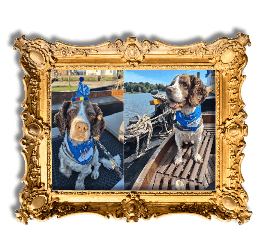 Dog-Friendly Holidays in Suffolk