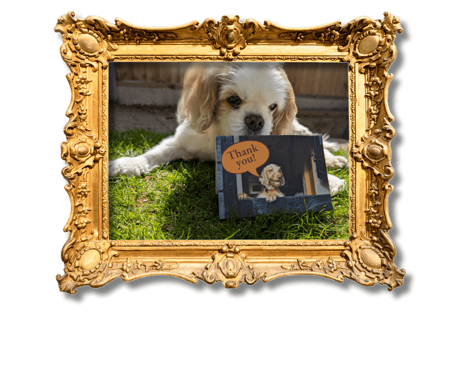 Dog-Friendly Holidays in Suffolk