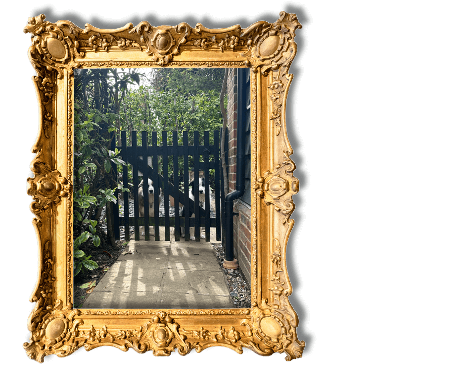 Dog-Friendly Holidays in Suffolk