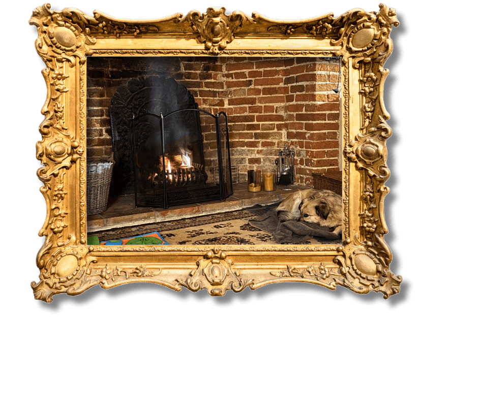 Dog-Friendly Holidays in Suffolk