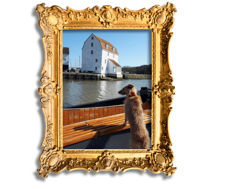 Dog-Friendly Holidays in Suffolk