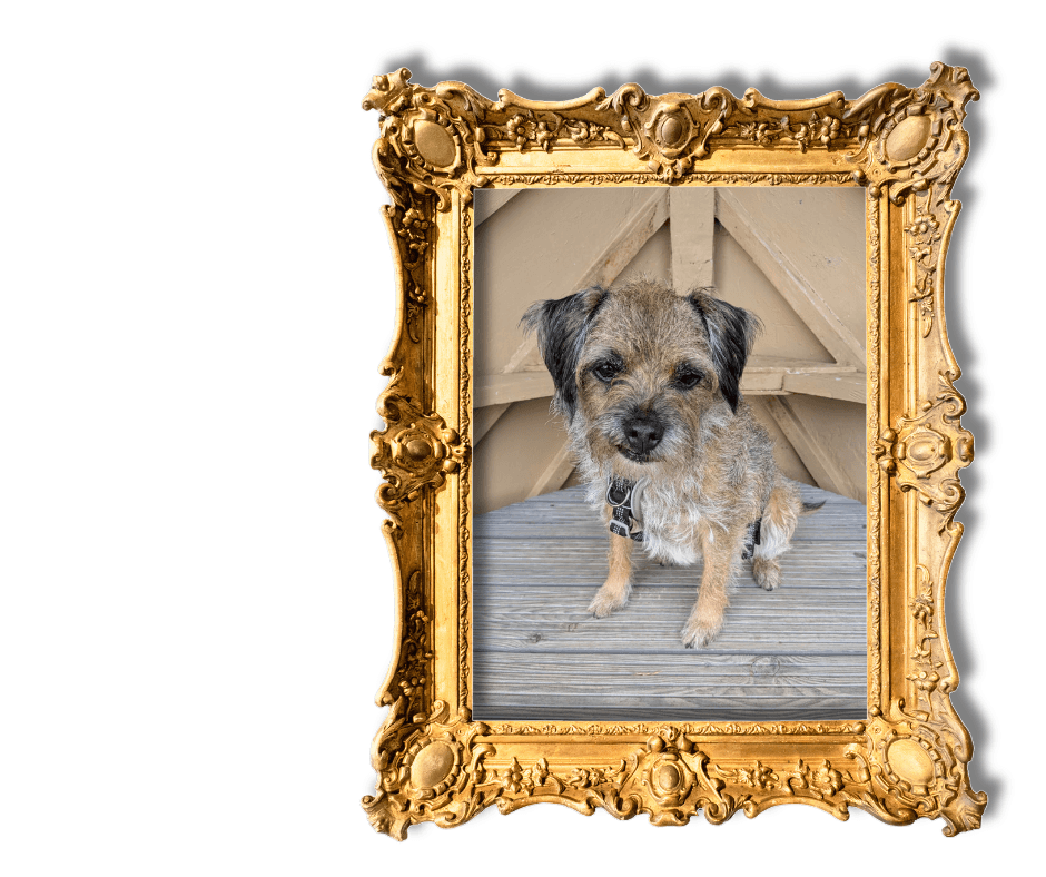 Dog-Friendly Holidays in Suffolk