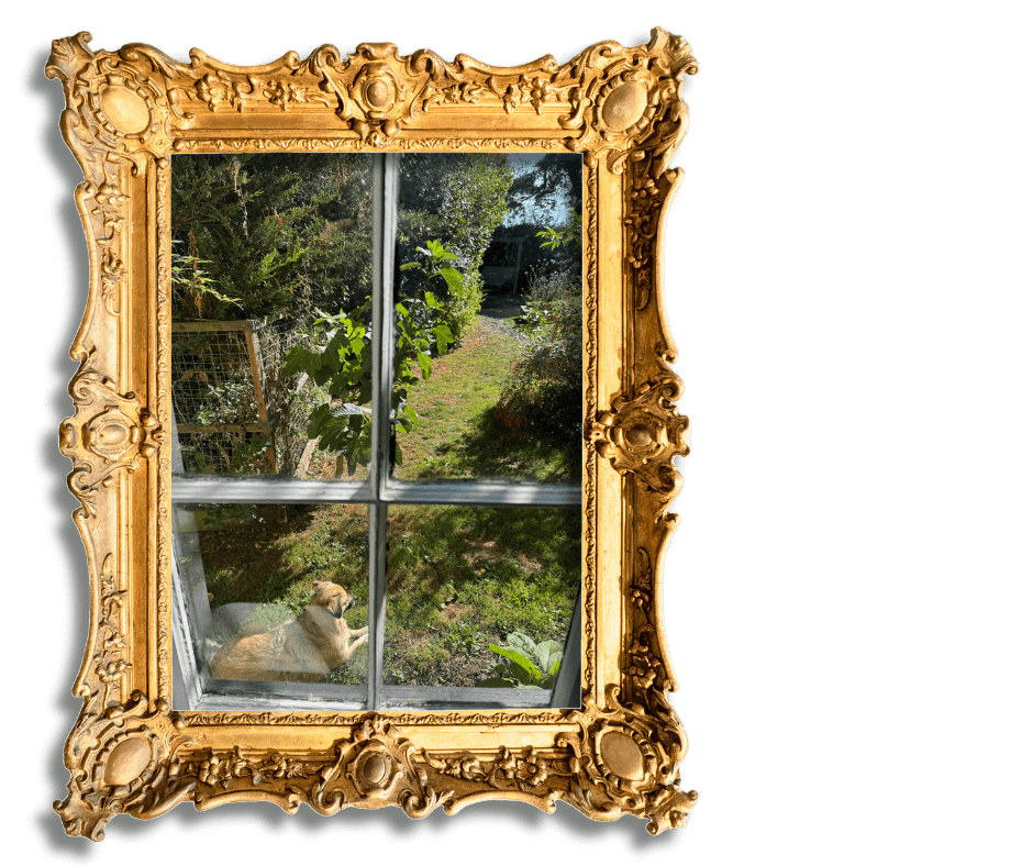 Dog-Friendly Holidays in Suffolk