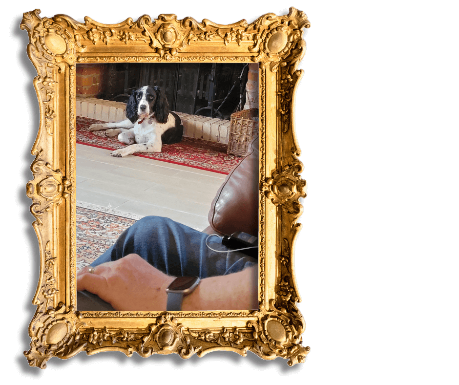 Dog-Friendly Holidays in Suffolk