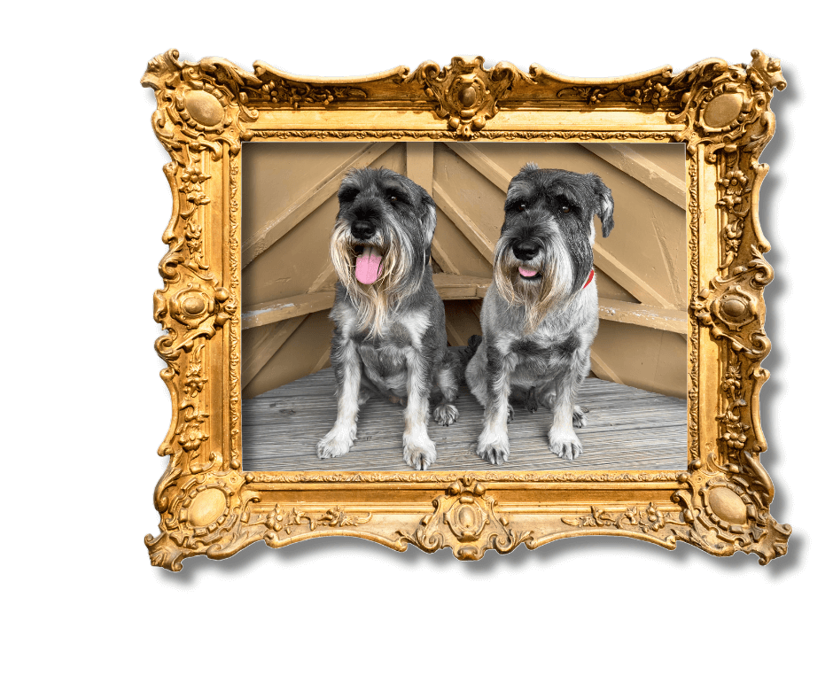 Dog-Friendly Holidays in Suffolk