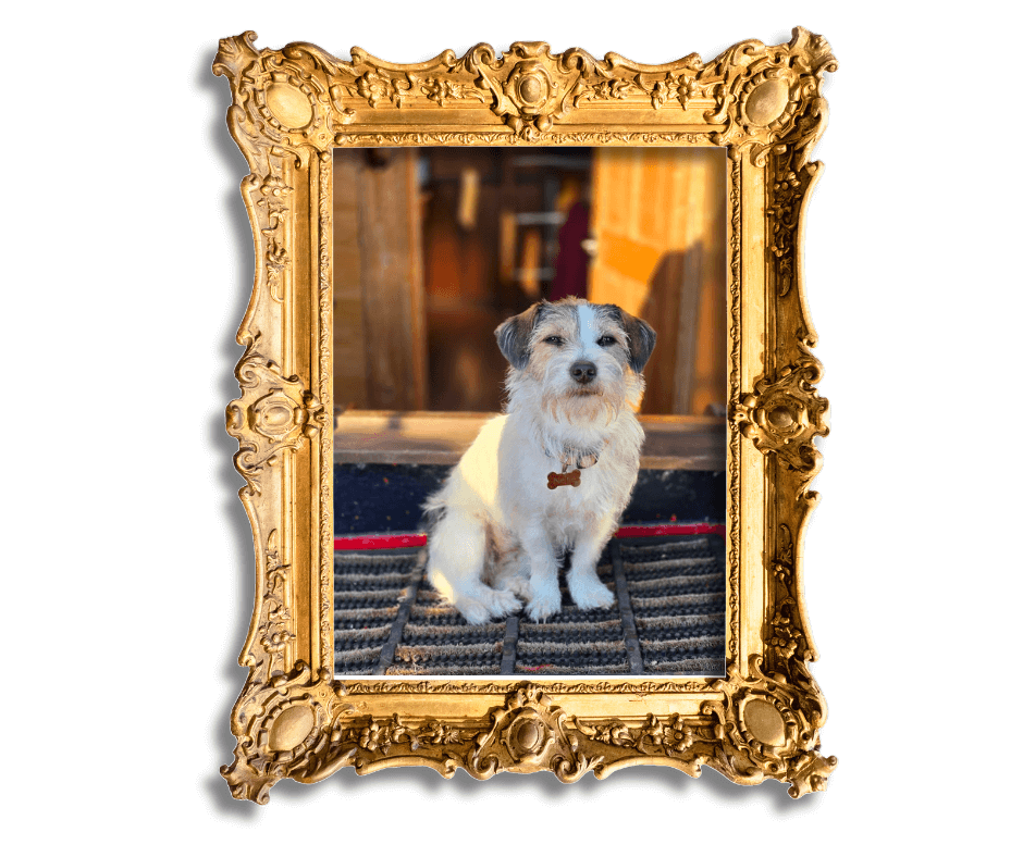 Dog-Friendly Holidays in Suffolk