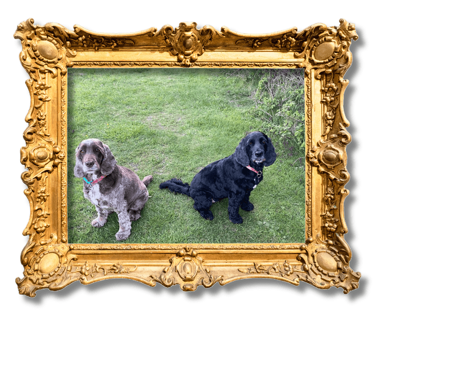 Dog-Friendly Holidays in Suffolk