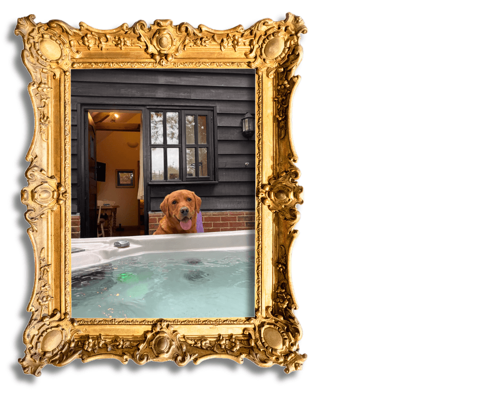 Dog-Friendly Holidays in Suffolk