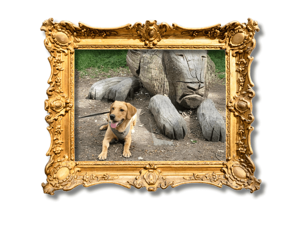 Dog-Friendly Holidays in Suffolk