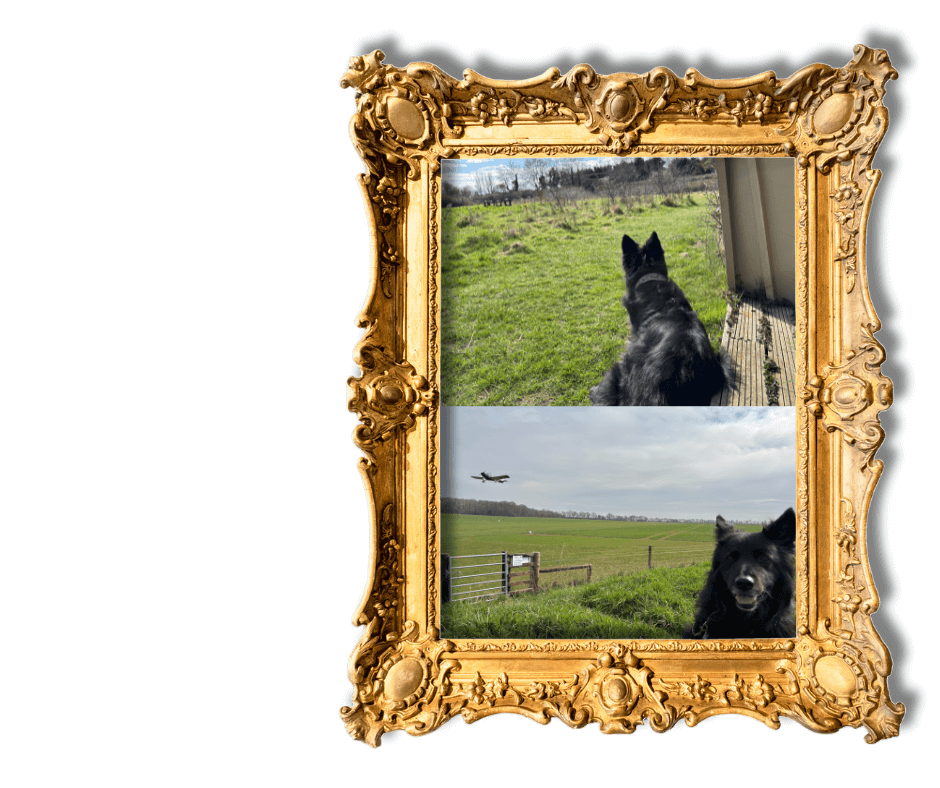 Dog-Friendly Holidays in Suffolk