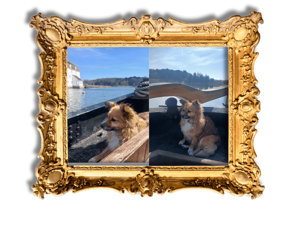 Dog-Friendly Holidays in Suffolk