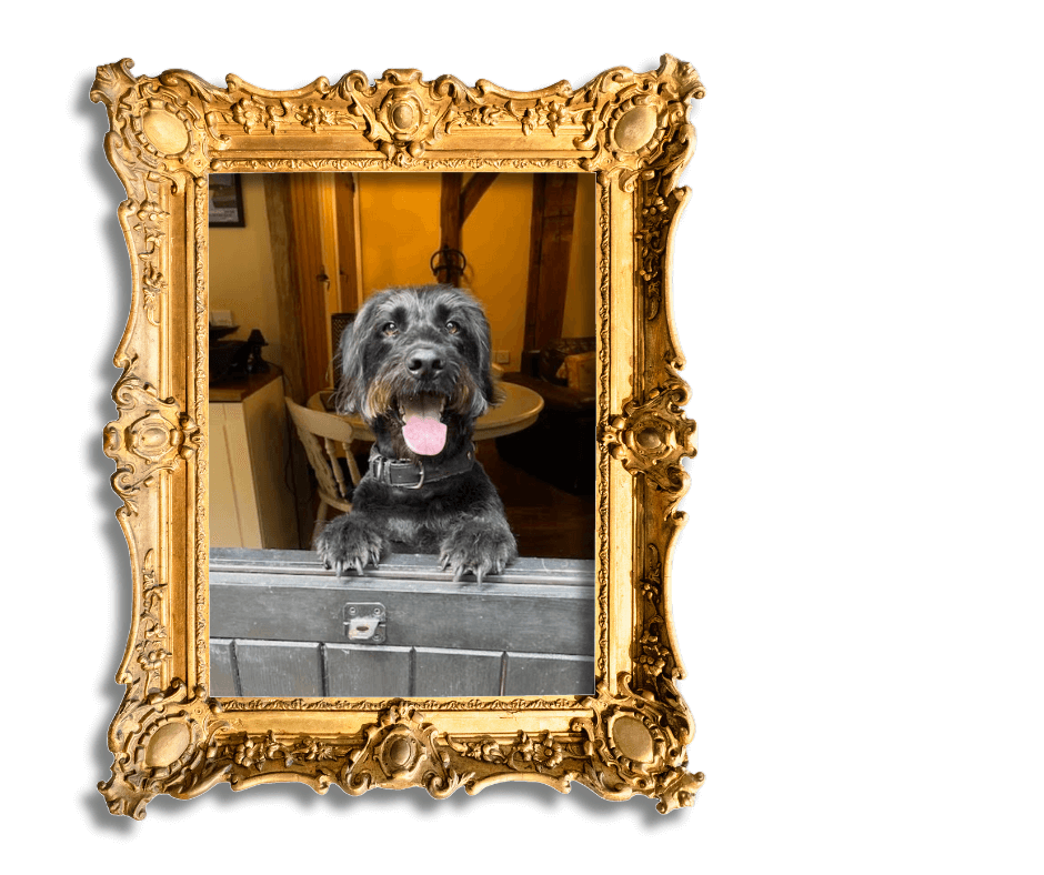 Dog-Friendly Holidays in Suffolk