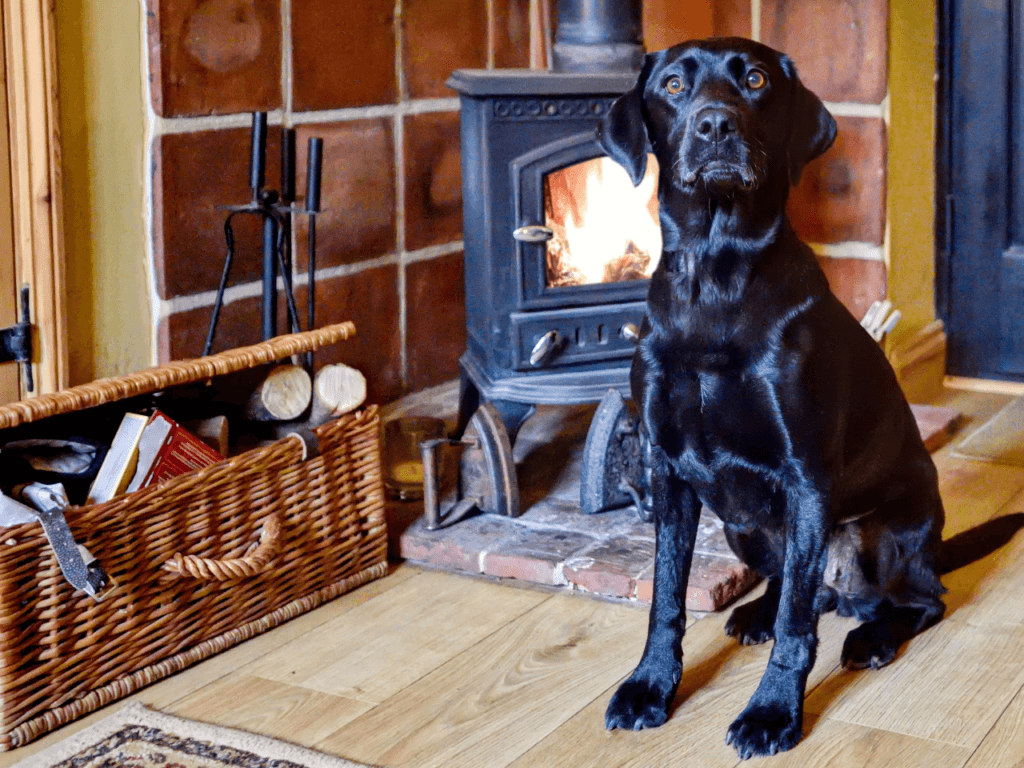 Dog friendly holidays in Suffolk