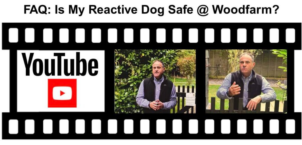 Reactive Dogs @ Woodfarm Barns