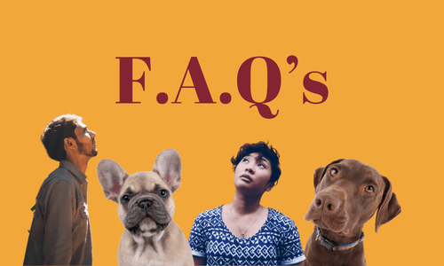 FAQ's